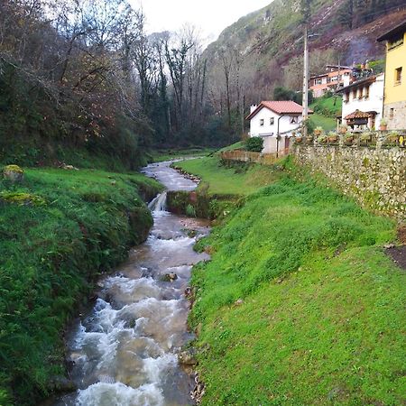 El Rinconin De Degu Villa San Juan de Parres Buitenkant foto